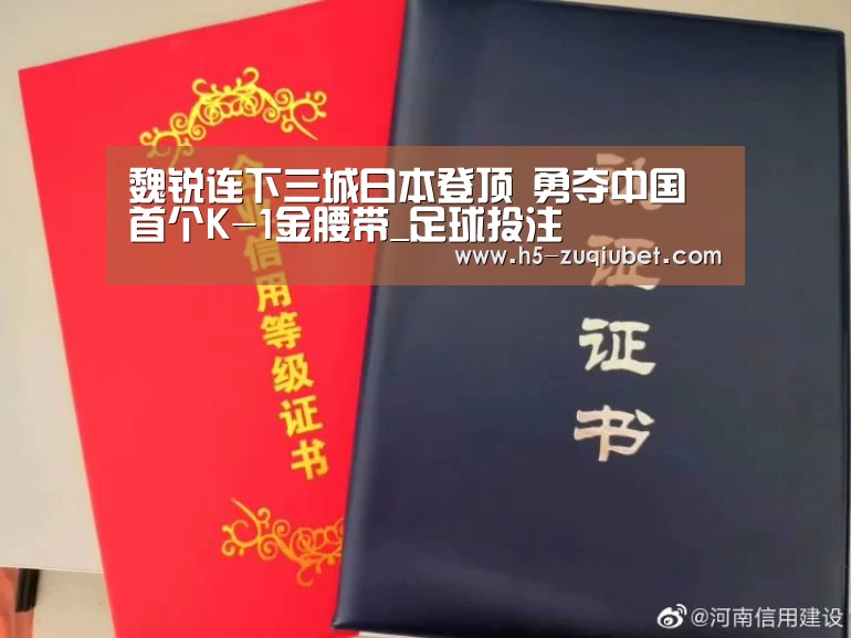 魏锐连下三城日本登顶 勇夺中国首个K-1金腰带_足球投注(图2) 足球投注
